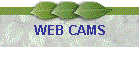 WEB CAMS
