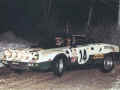 stratosRally.jpg (97922 byte)